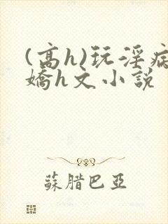 (高h)玩淫病娇h文小说