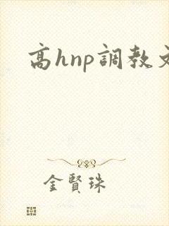 高hnp调教文封面