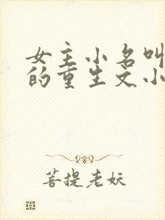 女主小名叫娇娇的重生文小说