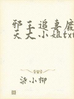 邪王追妻废材逆天大小姐txt下载