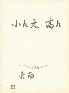 小h文 高h