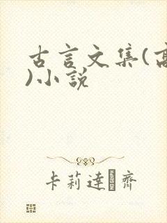 古言文集(高h)小说