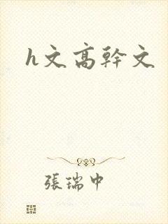 h文高干文封面