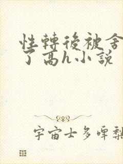 性转后被舍友c了高h小说