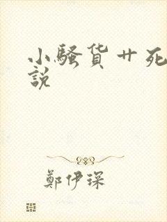 小骚货艹死你小说