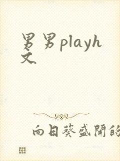 男男playh文
