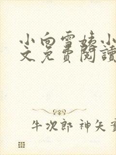 小向雪姨小说全文免费阅读最新章节封面