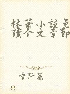 林萧小说免费阅读全文章节