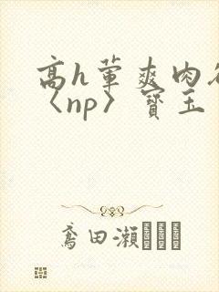 高h荤爽肉欲文〈np〉宝玉