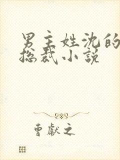 男主姓沈的霸道总裁小说