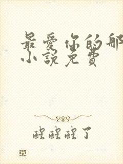 最爱你的那十年小说免费