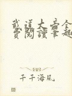 武道大帝全文免费阅读笔趣阁封面