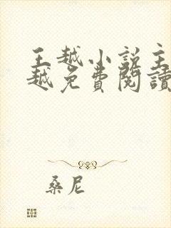 王越小说主角王越免费阅读正版