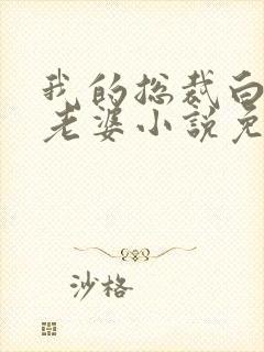 我的总裁白富美老婆小说免费讲述