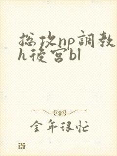 总攻np调教高h后宫bl