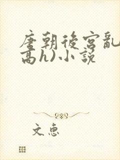 唐朝后宫乱淫(高h)小说封面