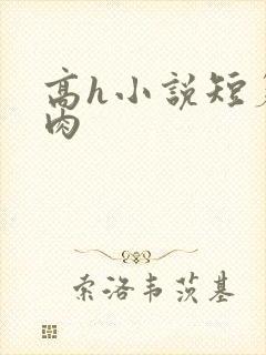 高h小说短篇纯肉