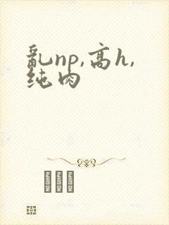 乱np,高h,纯肉