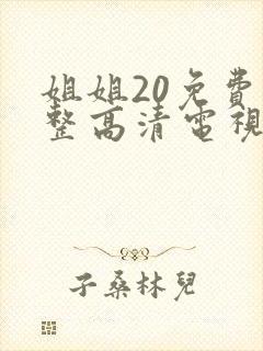 姐姐20免费完整高清电视剧在线看封面