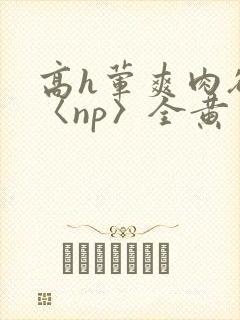 高h荤爽肉欲文〈np〉全黄