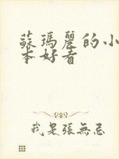 苏玛丽的小说哪本好看封面