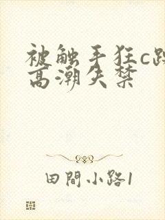 被触手狂c躁到高潮失禁封面