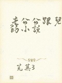 老公公跟儿媳妇的小说