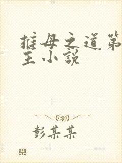 推母之道第一版主小说