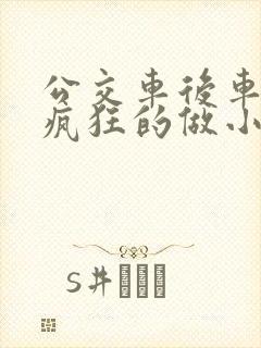 公交车后车座的疯狂的做小