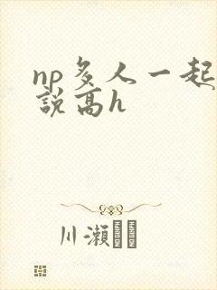 np多人一起小说高h