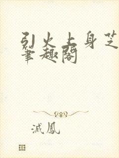 引火上身芝麻糖笔趣阁封面