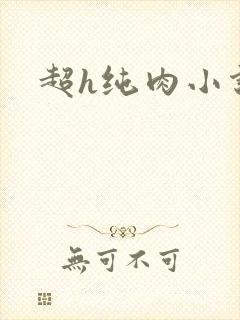 超h纯肉小说