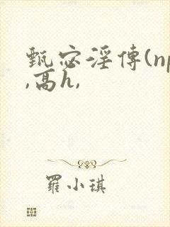 甄宓淫传(np,高h,封面