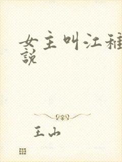 女主叫江稚的小说