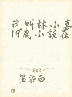 我叫林小喜今年19岁小说在线阅读全文封面