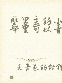 双男主的小说在哪里可以看