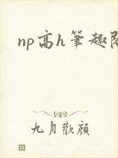 np高h笔趣阁