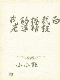 我的总裁白富美老婆精校