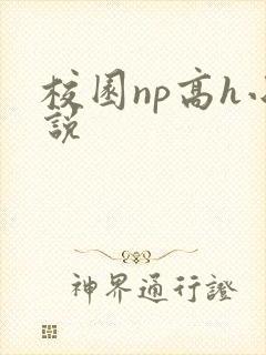 校园np高h小说