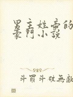 男主姓帝的现代豪门小说