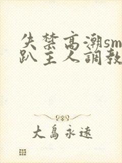 失禁高潮sm跪趴主人调教小说