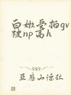 白嫩受拍gv片被np高h