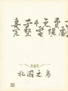 妻子4免费高清完整电视剧