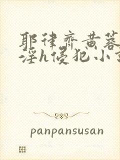 耶律齐黄蓉之乱淫h侵犯小说封面