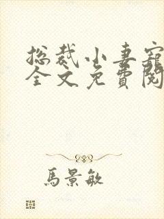 总裁小妻宠上天全文免费阅读