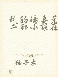 我的娇妻叶晨第二部小说在线阅读