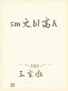 sm文bl高h