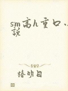 sm高h重口小说