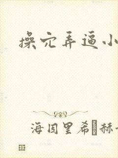 操穴弄逼小说封面