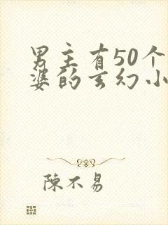 男主有50个老婆的玄幻小说封面